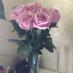 Meet your Posher, Karla